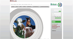 Desktop Screenshot of braeuer.cc